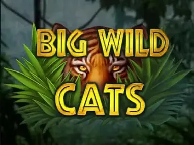 WildChance Casino screenshot
